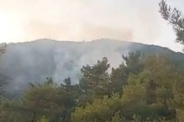 Çine’de orman yangını haberinin görseli