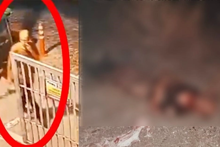 İstanbul'da sahipsiz köpek saldırısı: Boğazından ve yüzünden yaralanan zihinsel engelli kişi yaşamını yitirdi haberinin görseli