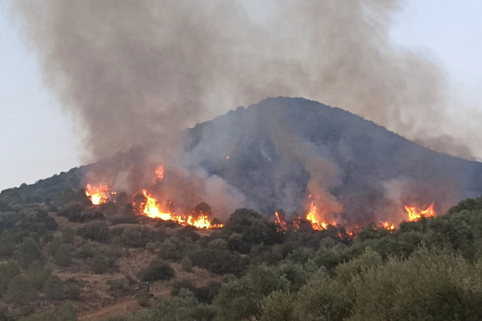 İzmir haber: Orman yangınları ile ilgili 6 kişi tutuklandı