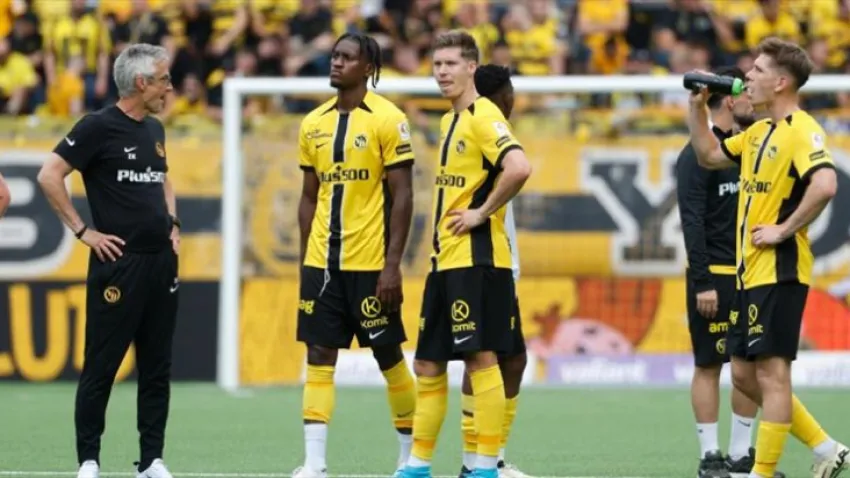 youngboys