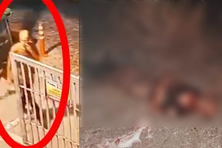 Fatih'te sahipsiz köpeklerin saldırısına uğramıştı: Ayhan Özçelik'in hastane raporuna ulaşıldı haberinin görseli