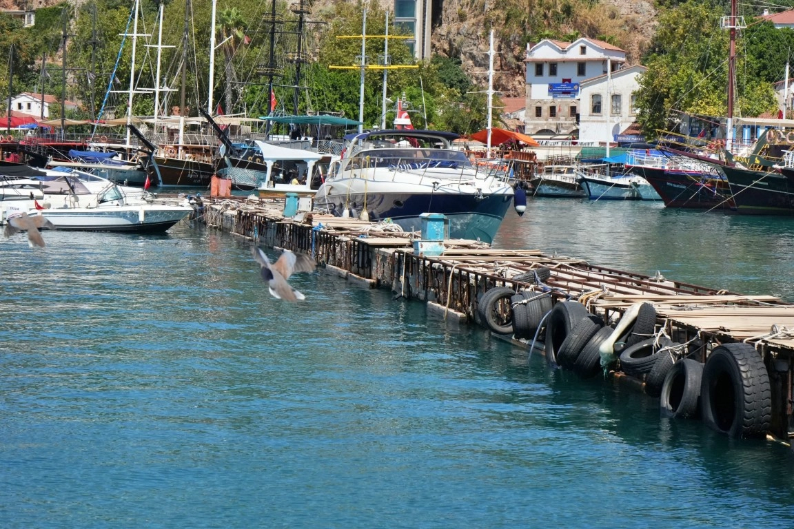 Antalya'da deniz suyu sıcaklıklarında rekor: Çok sayıda balık ve deniz canlısı yok oldu