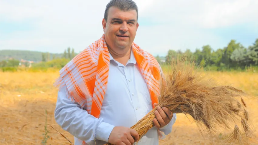 topan karakılcık