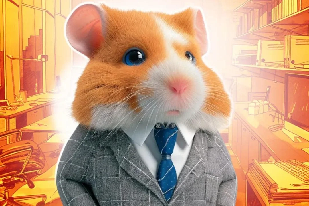 Hamster Kombat Günlük Kombo Kartları 23 Ağustos 2024! Hamster Kombat günlük kombo kart haberinin görseli