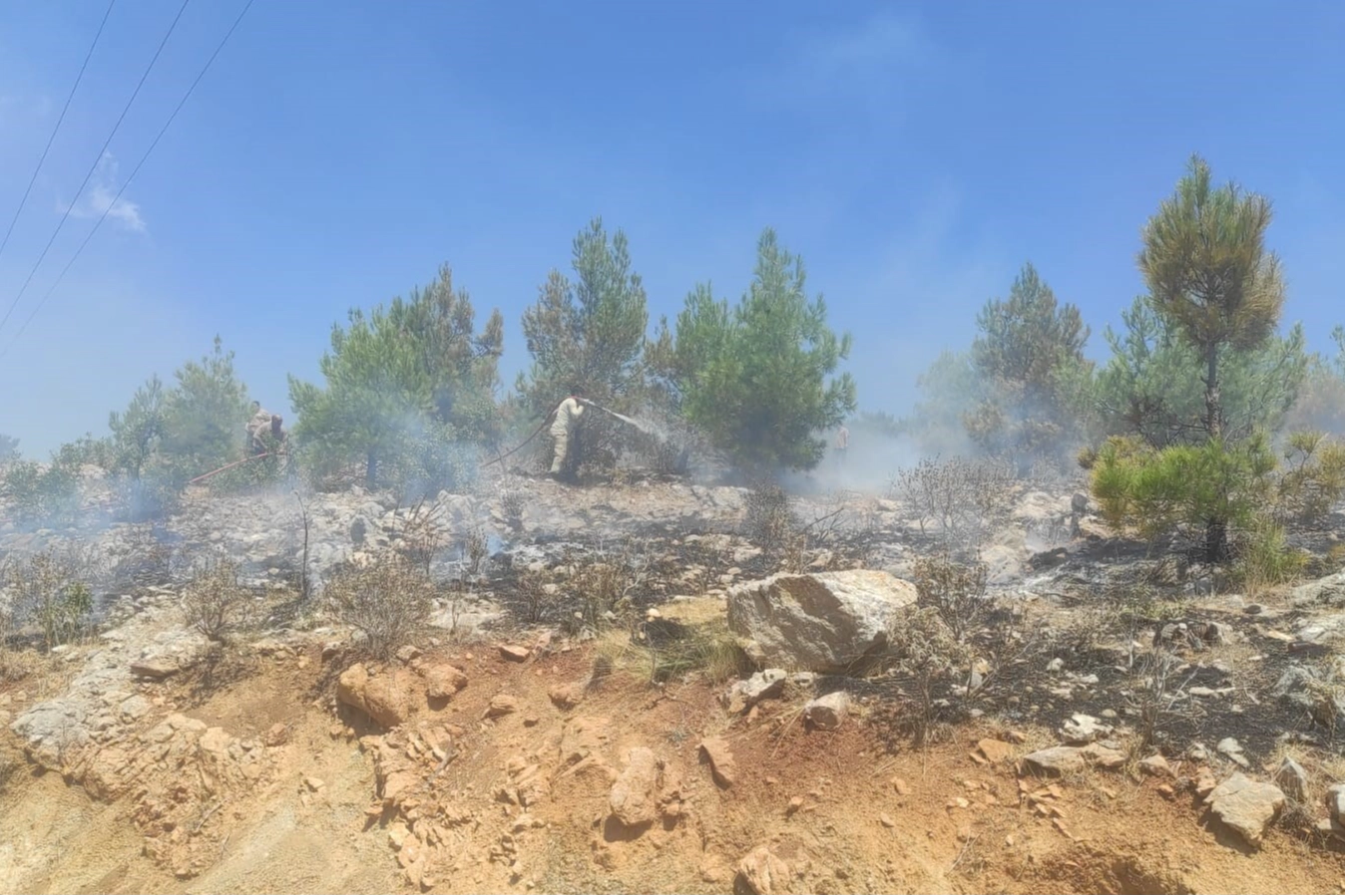 Mersin'de 2 kişi alkol alıp ormanı yaktı