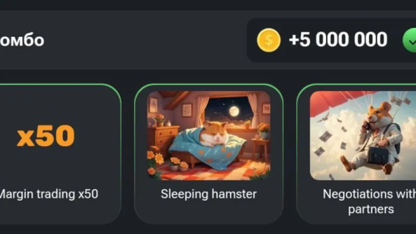 Hamster Kombat Günlük Combo 23 Ağustos 2024