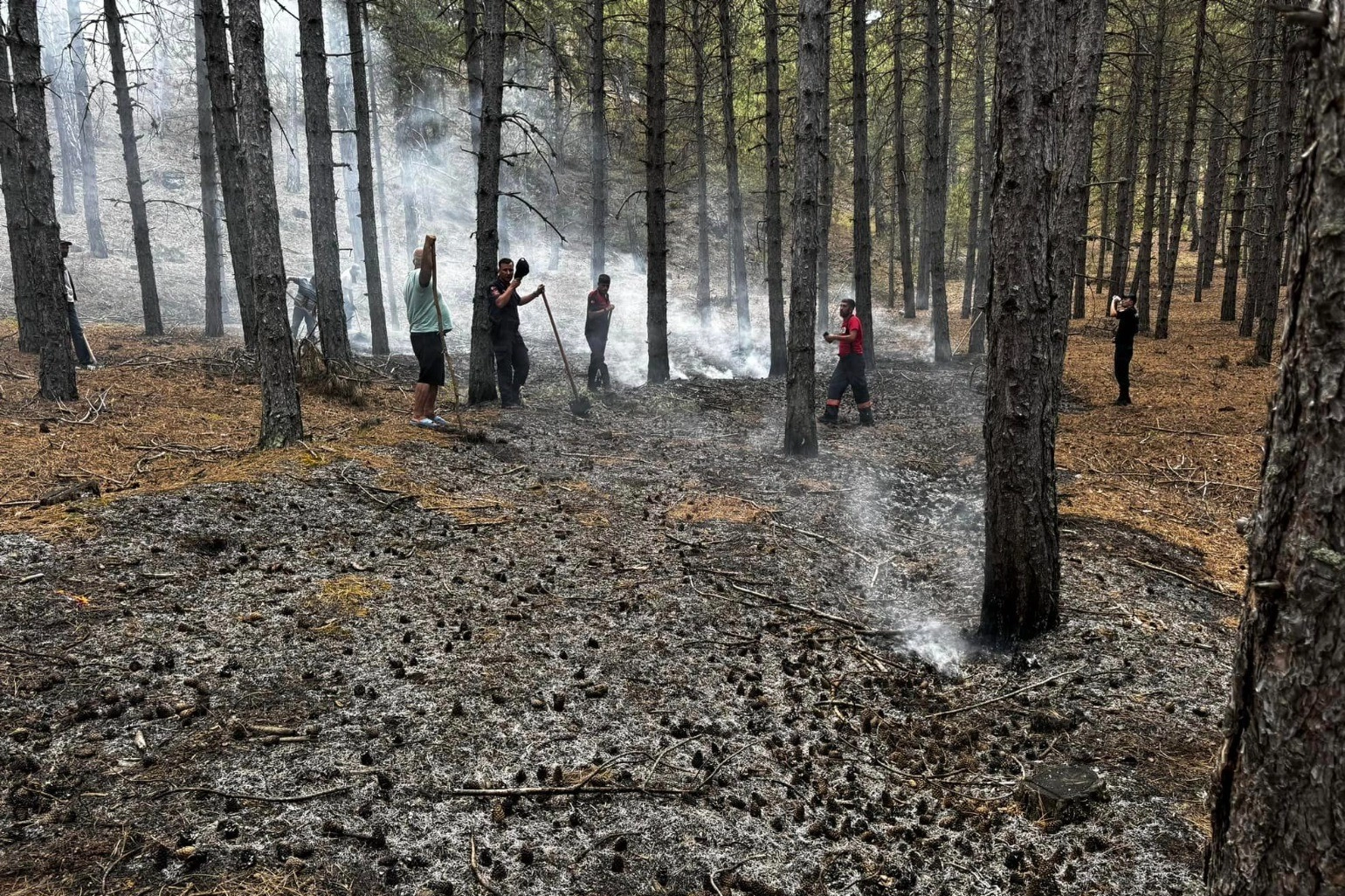 Yıldırımın düştüğü ormanda yangın çıktı