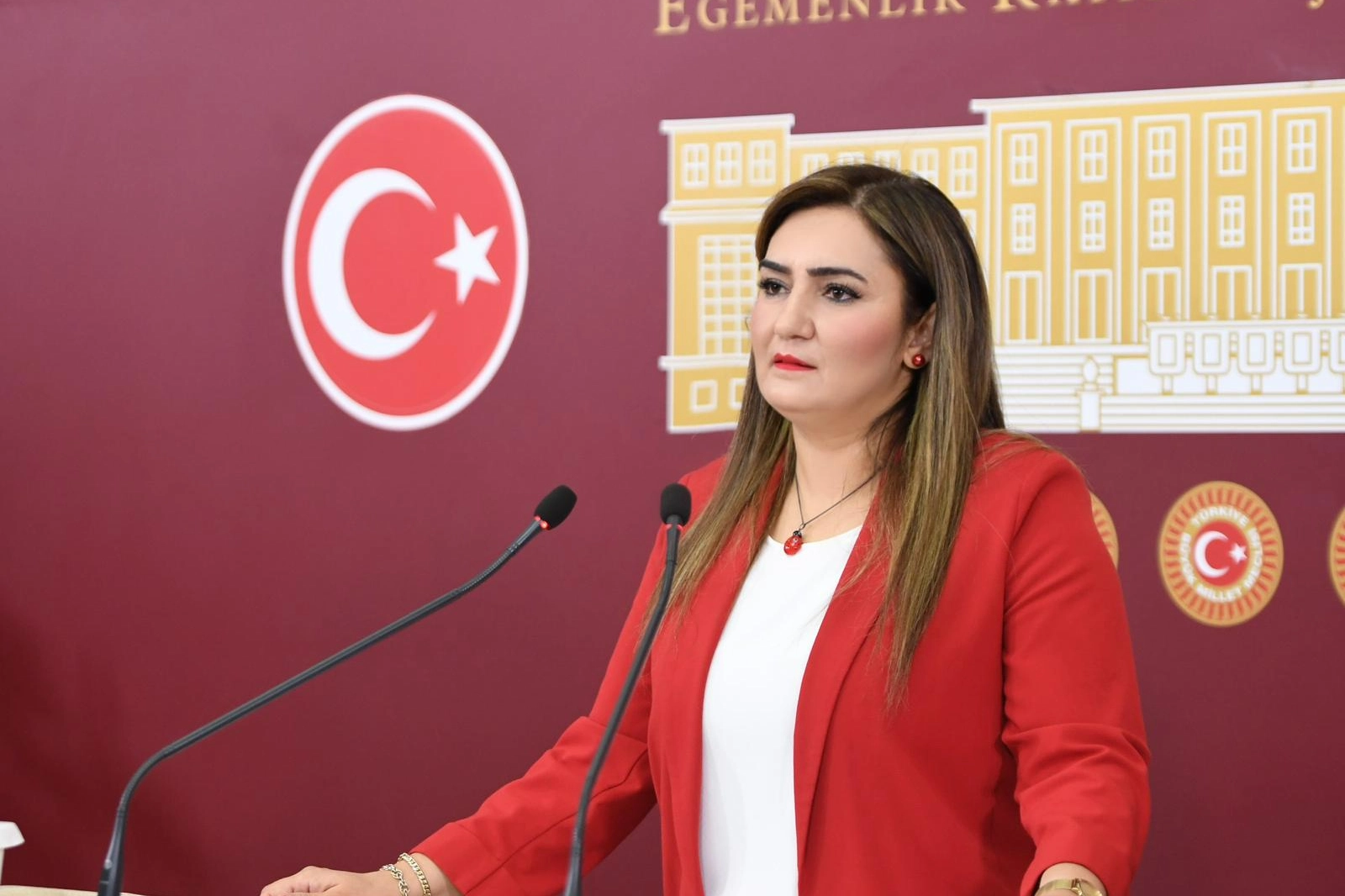 CHP İzmir Milletvekili Sevda Erdan Kılıç: Okullarımızdan elinizi çekin