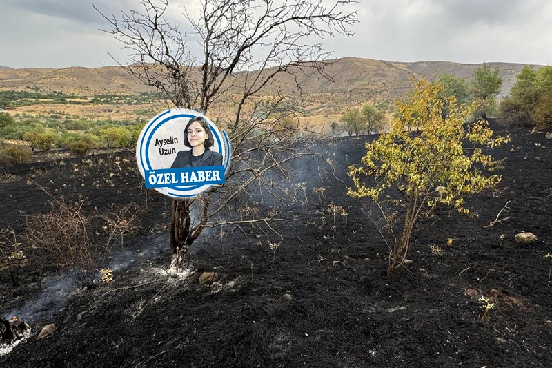 Afetler sonrası için  bir eylem planımız yok