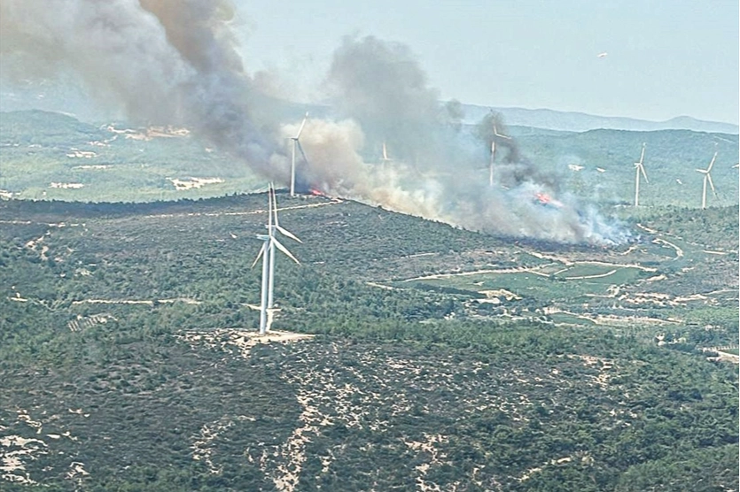 İzmir haber: Urla'da orman yangını