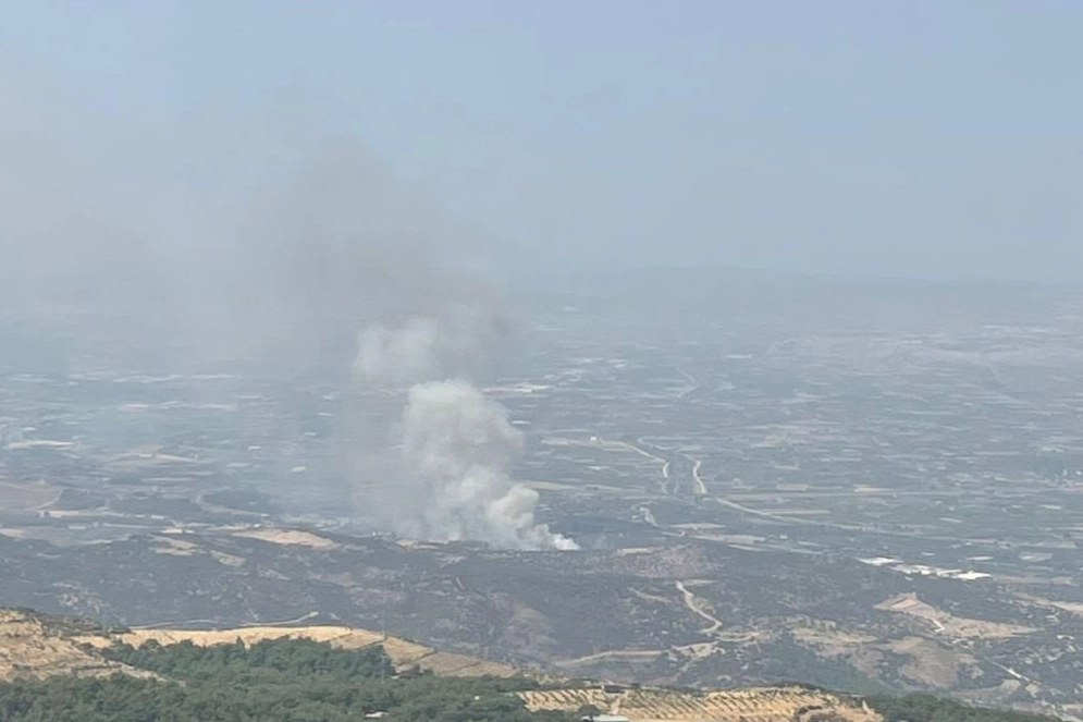 İzmir Menemen’de orman yangını: Müdahale sürüyor