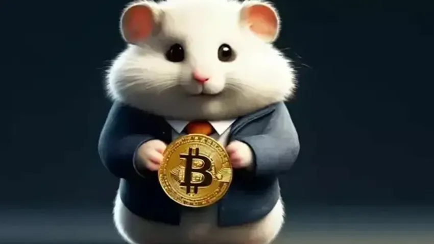 9 Eylül Hamster Kombat günlük şifre ne? Hamster Kombat günlük şifre 9 Eylül 2024 haberinin görseli