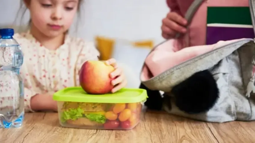 Çocukların beslenme çantasında bulunması gereken sağlıklı besinler haberinin görseli