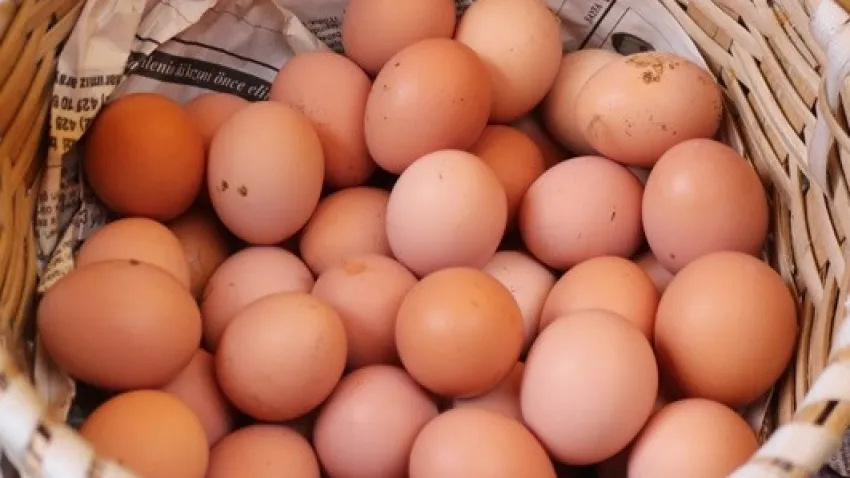 Günlük yumurta tüketimi Alzheimer riskini düşürüyor haberinin görseli