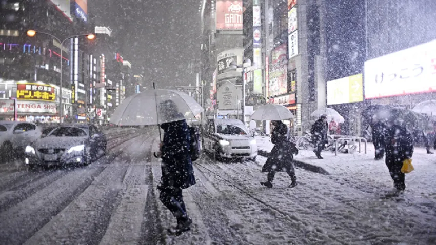 Japonya