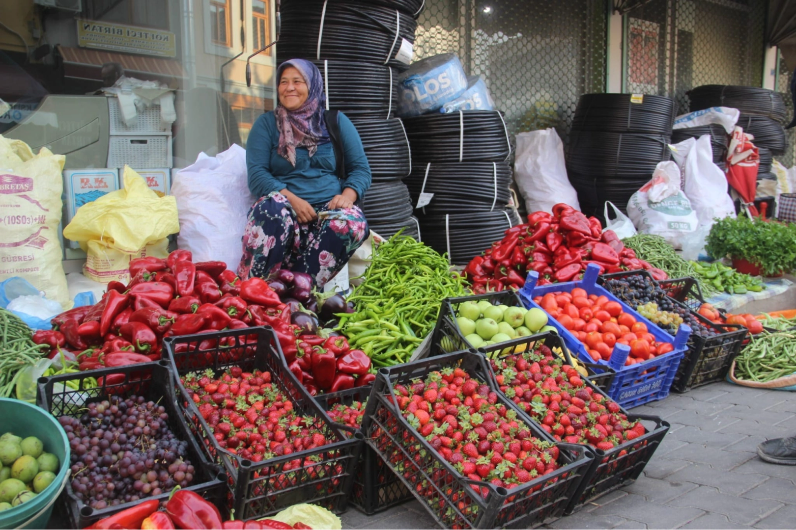 Kaz Dağları’nın organik ürünleri pazarda alıcı buluyor