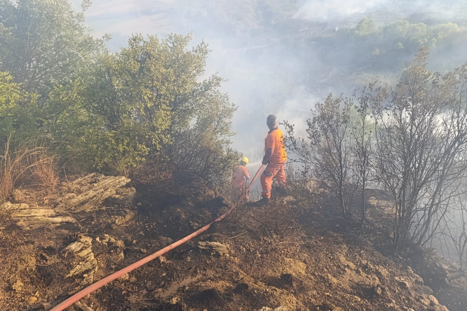 Antalya'da yangın! haberinin görseli