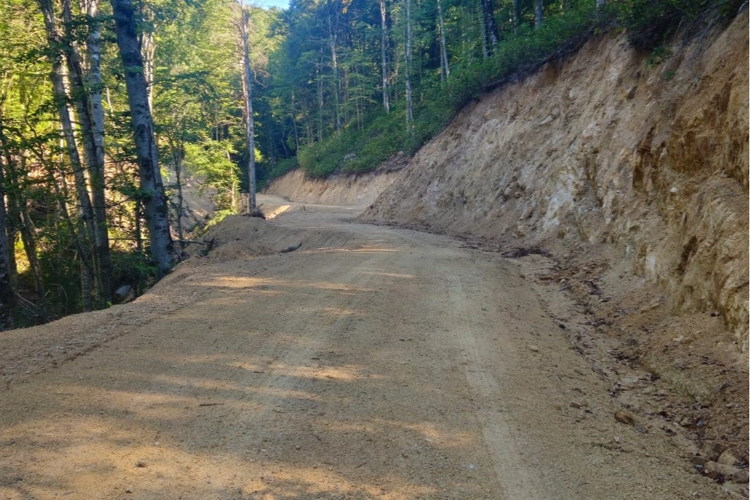 Düzce'de ormana yeni yol yapıldı