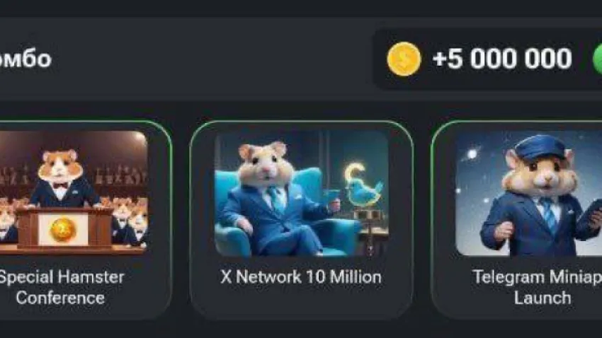 hamster