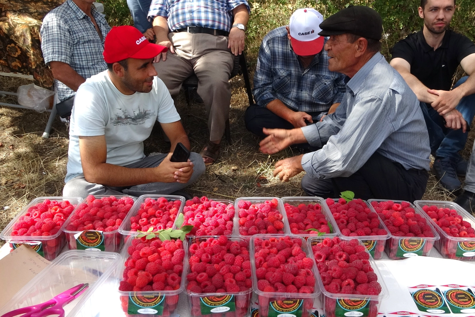 Kütahya'da Ahududu Şenliği