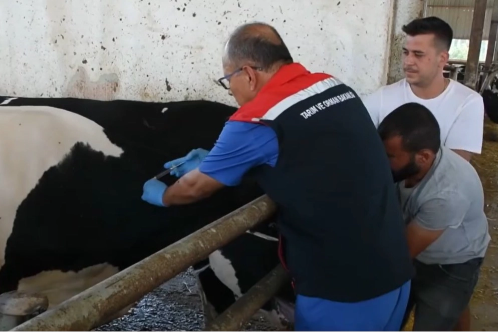 Aydın'da 47 bin doz ücretsiz aşı haberinin görseli