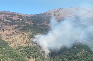 İzmir haber: Kemalpaşa'daki orman yangını kontrol altında