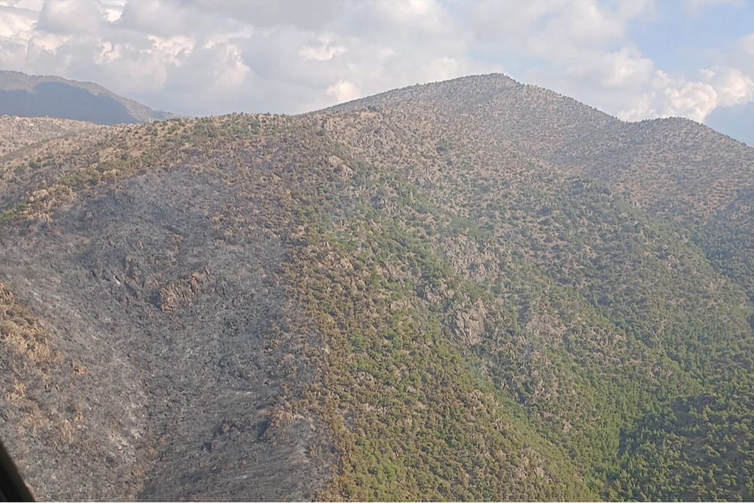 Manisa'daki orman yangını kontrol altına alındı