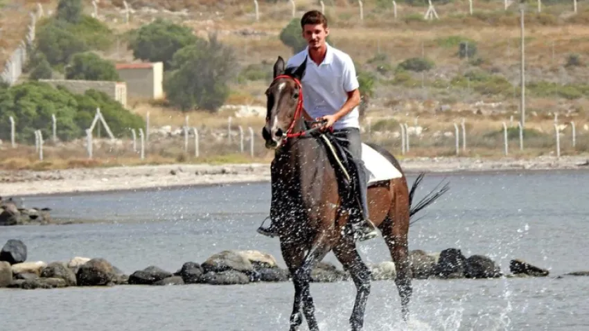 Şampiyon atlar Alaçatı’da yetişiyor