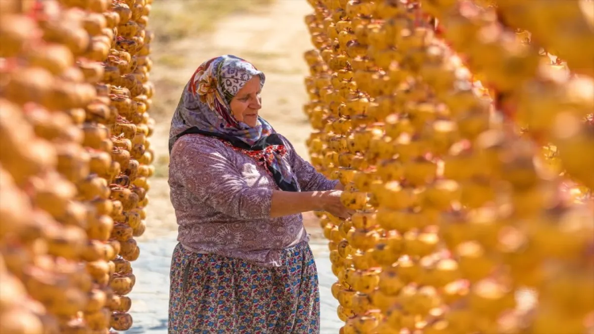 İzmir'den dünyaya cennet hurması - 576000