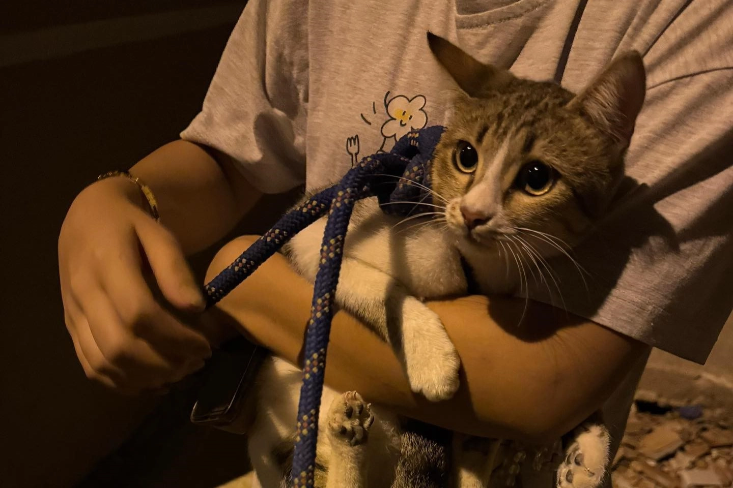 Kuyuya düşen kedi böyle kurtarıldı haberinin görseli