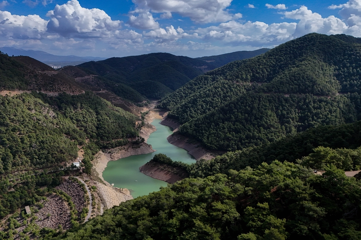 Türkiye'nin ilk terapi ormanı İzmirlileri bekliyor