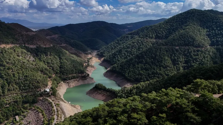 Türkiye'nin ilk terapi ormanı İzmirlileri bekliyor