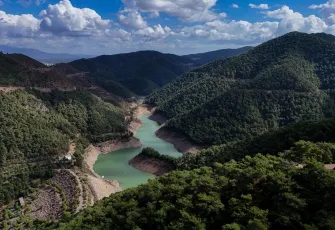 Türkiye'nin ilk terapi ormanı İzmirlileri bekliyor galerisinin önkapak görseli