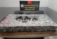 İzmir haber: Zehir taciri baba-oğul evlerinde enselendi