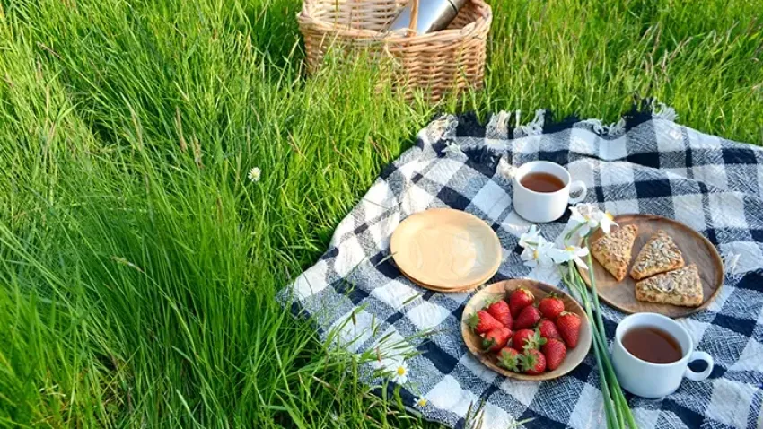 MasterChef piknik menüsü: Piknikte yapabileceğiniz tarifler haberinin görseli