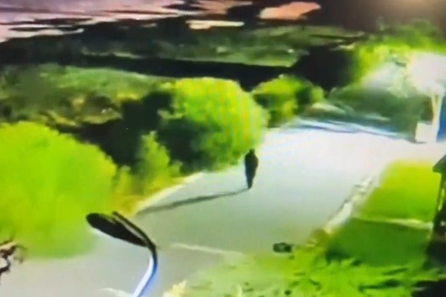 Van'da kaybolan Rojin Kabaiş hakkında son dakika gelişmesi! haberinin görseli