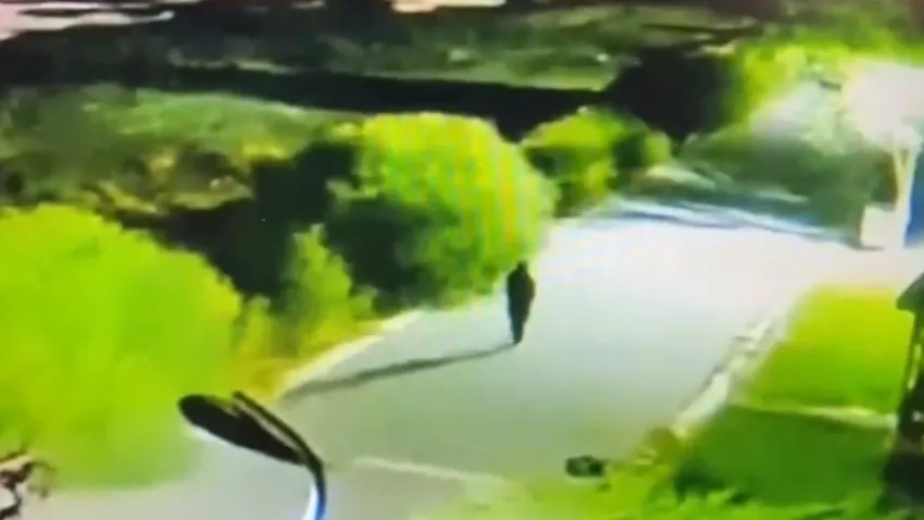 Van'da kaybolan Rojin Kabaiş hakkında son dakika gelişmesi! haberinin görseli