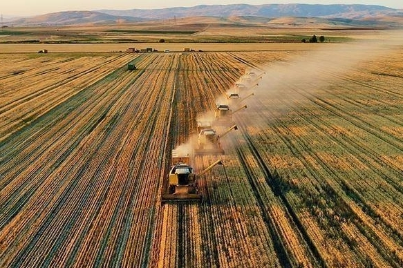 Çiftçilere müjde, hesaplara  yatırıldı haberinin görseli