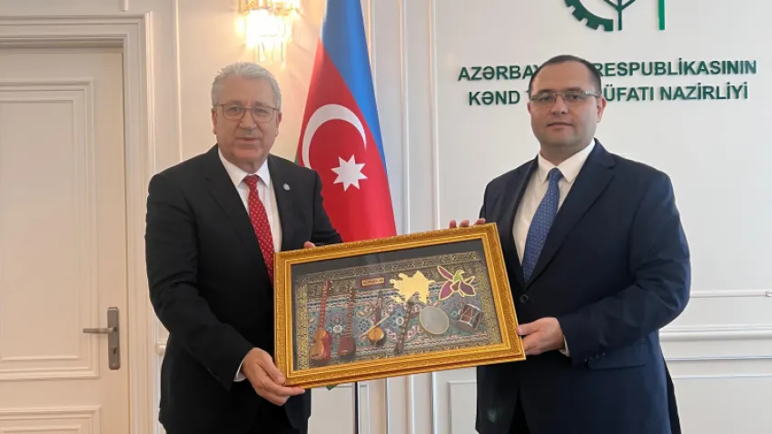 tarım