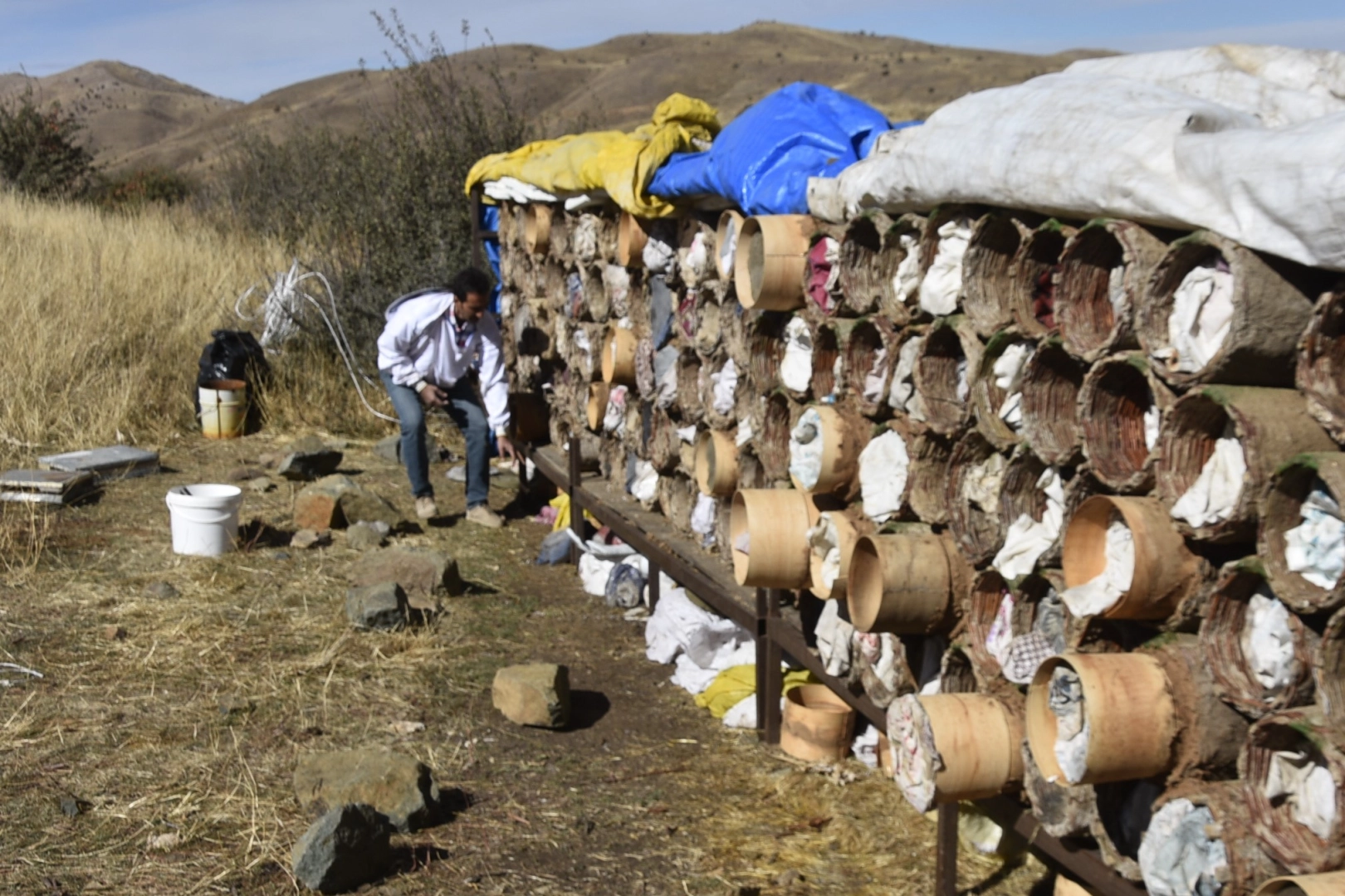 Bitlis'te karakovan balının hasadına devam ediliyor