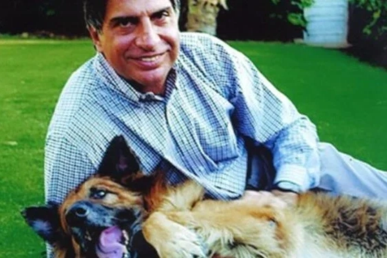 Hintli milyarder Ratan Tata, servetini köpeğine bıraktı