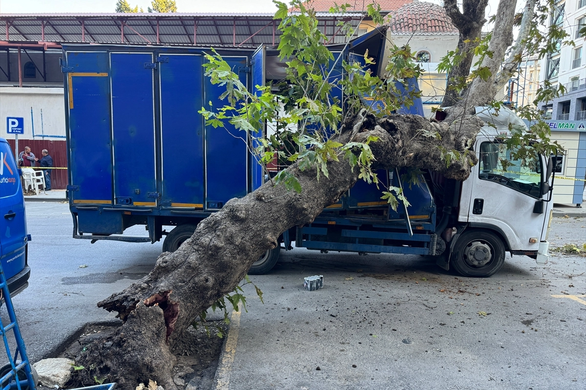 İzmir haber: Ağaca çarpan kamyonet zarar gördü haberinin görseli
