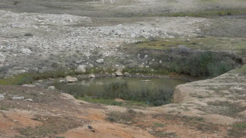 kuraklık