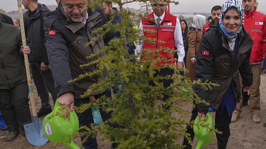gazze hatıra ormanı