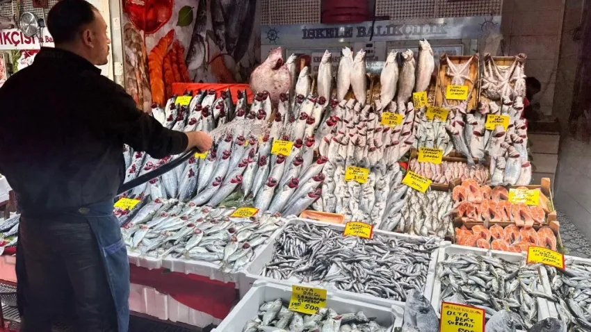Balık tezgahlarında palamutun yerini hamsi ve çinekop aldı haberinin görseli
