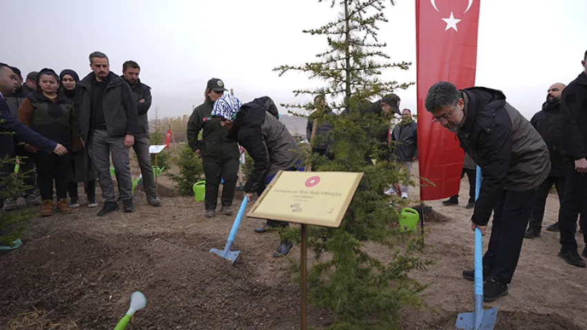 gazze hatıra ormanı 