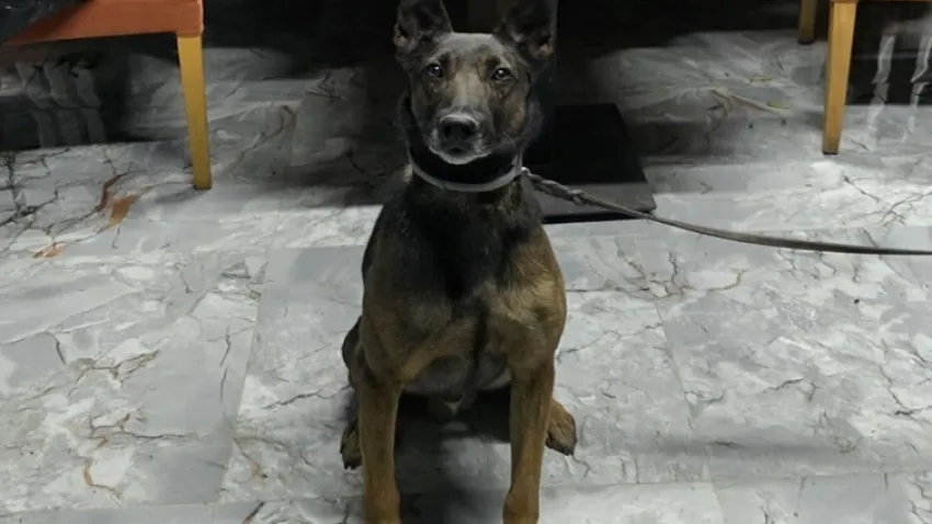 İzmir haber: Operasyonlarda 6 zanlı yakalandı