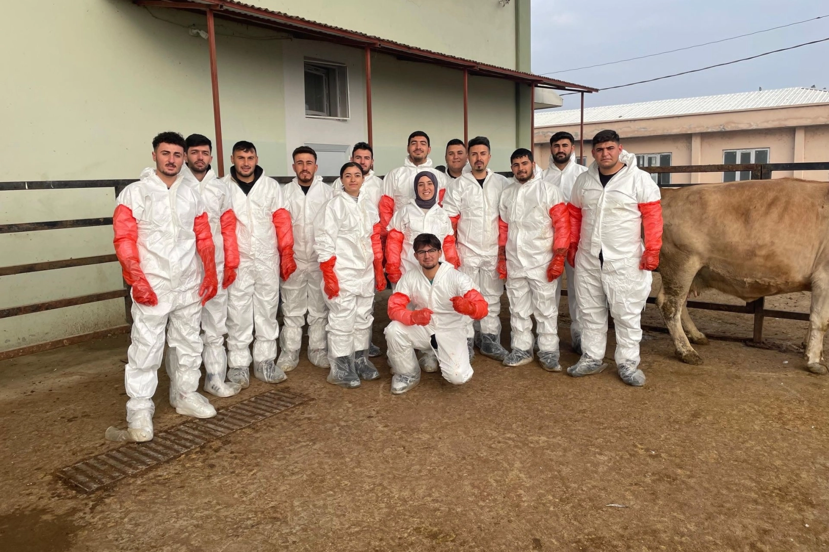 Veteriner sağlık teknisyenlerine suni tohumlama kursu