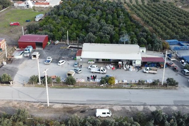 Menemen zeytinlerini israf etmiyor haberinin görseli