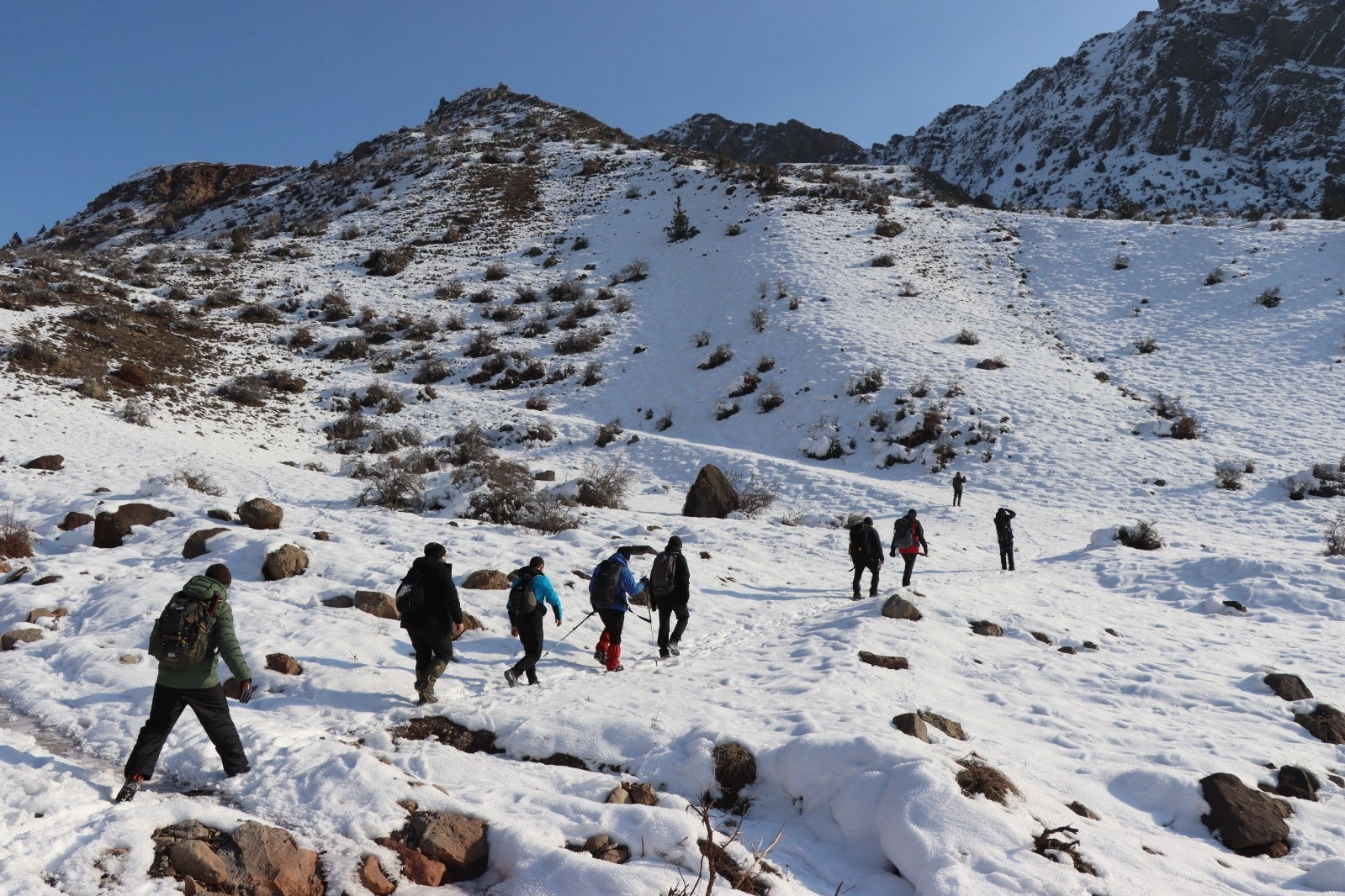 Erzurum'da doğaseverlerden yaban hayatına destek: Doğaya ot ve buğday bırakıldı